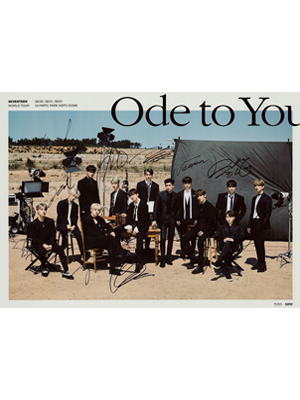 Seventeen World Tour 'Ode to You' 공연포스터